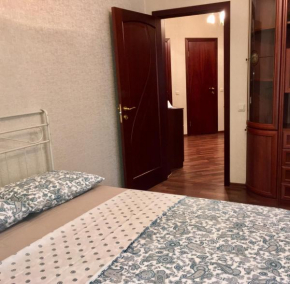 Apartment on Vinogradnaya